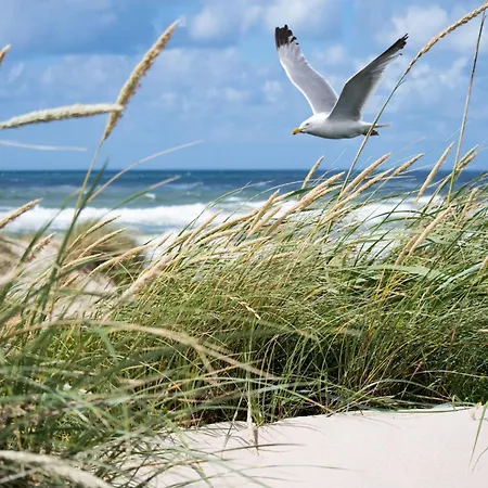 アパート In Near Casino Square