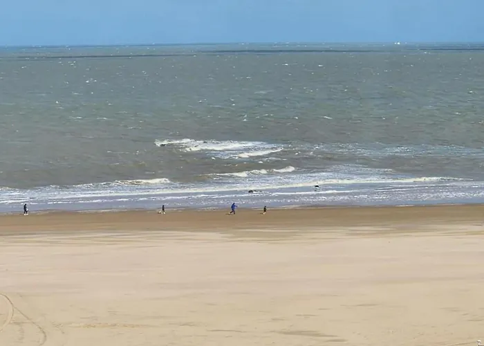 Appartement In Near Casino Square *