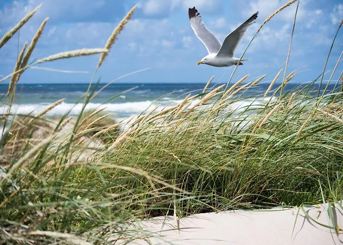 In Near Casino Square * Knokke-Heist