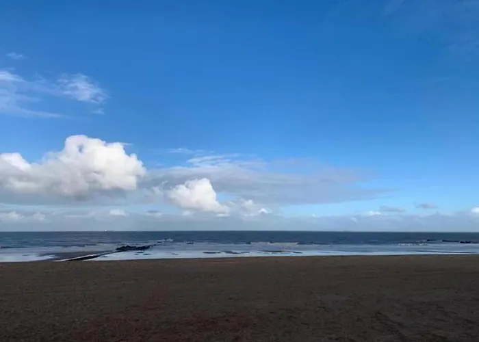 Appartement In Near Casino Square *