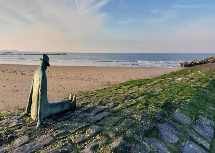 Appartement In Near Casino Square Knokke-Heist