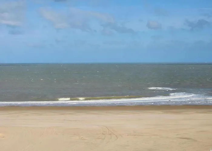 Appartement In Near Casino Square