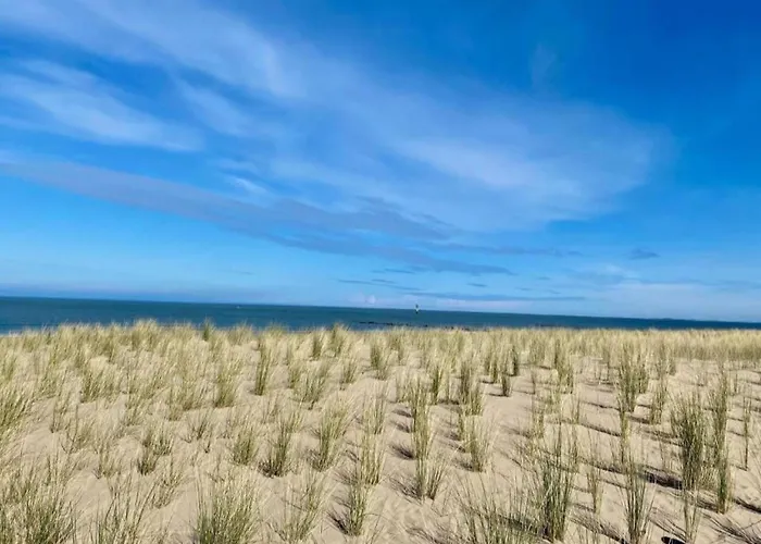 In Near Casino Square