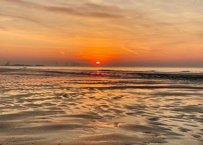 In Near Casino Square Knokke-Heist